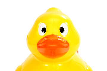 Image showing plastic duck