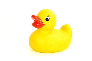 Image showing rubber ducky