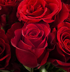 Image showing Red roses 2