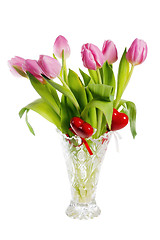 Image showing Pink tulips, it is isolated on white