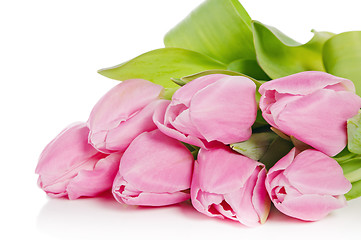Image showing Pink tulips, it is isolated on white