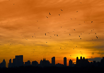 Image showing Manhattan with birds flying