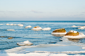 Image showing  ice-covered stones along the shores of the Baltic Sea 