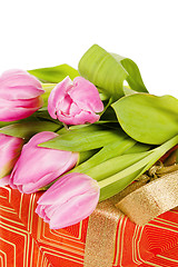 Image showing Pink tulips and gift box, it is isolated on white