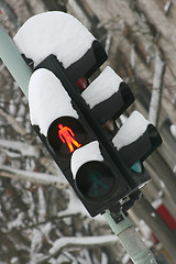 Image showing Traffic light under snow