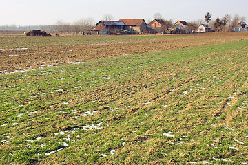 Image showing Rural land