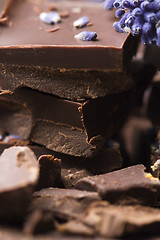 Image showing Homemade chocolate with lavender flowers