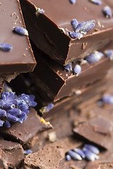 Image showing Homemade chocolate with lavender flowers