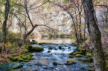 Image showing little stream in missouri