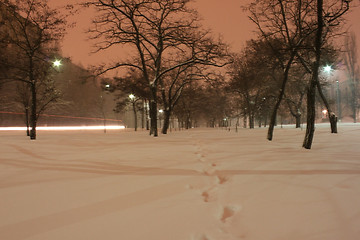 Image showing avenue at winter night