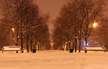 Image showing avenue at winter night