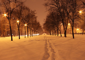 Image showing winter night