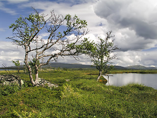 Image showing Nature Landscape