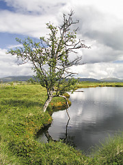 Image showing Nature Landscape