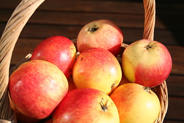 Image showing Swedish summer apples