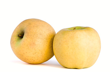 Image showing Two apples