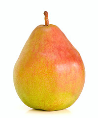 Image showing lonely Belgian pear