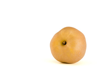 Image showing One canadian apple