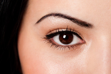 Image showing Eyebrow and eye