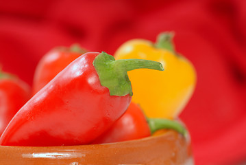 Image showing Variety of chili peppers