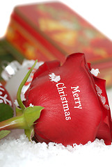 Image showing Red Rose that says Merry Christmas on it