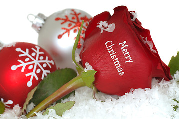 Image showing Red Rose that says Merry Christmas on it