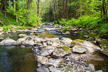 Image showing small wild river in Bohemian forest 