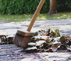 Image showing Sweeping the Leaves