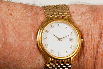 Image showing Gold watch with white face on hairy wrist