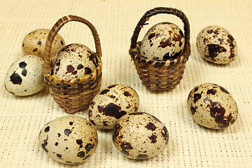 Image showing Quail eggs.