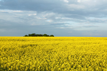 Image showing Colorful spring landscape