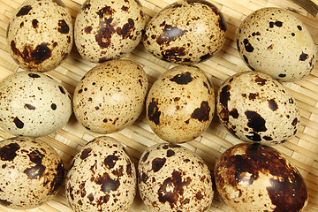 Image showing Quail eggs.