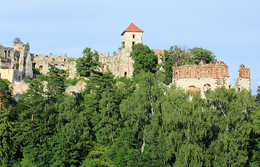 Image showing Castle Tenczyn