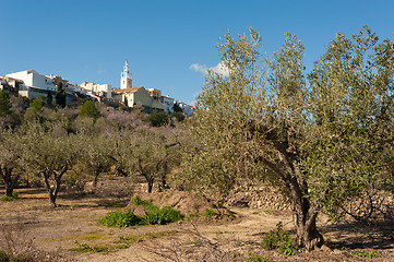 Image showing Mediterranean village