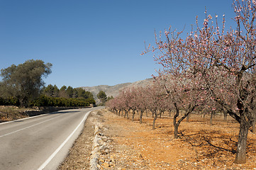 Image showing Costa Blanca scenics