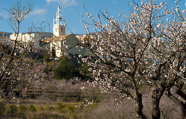 Image showing Parcent village