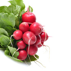 Image showing Fresh Radish