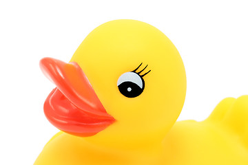 Image showing portrait of rubber ducky