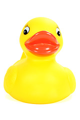 Image showing Front rubber ducky
