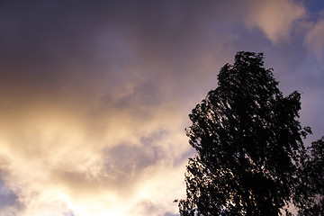 Image showing sundown after rain