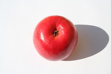 Image showing Isolated apple