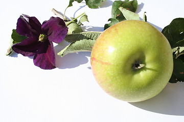 Image showing Apple with clematis flower