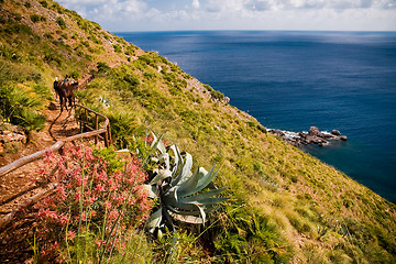 Image showing Zingaro Natural Reserve, Sicily