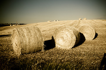 Image showing Typical Tuscan landscape