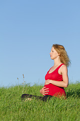 Image showing pregnant woman on meadow