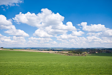 Image showing green field