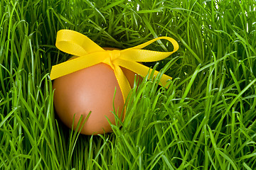 Image showing easter egg and grass