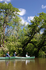 Image showing Canoes on the Water