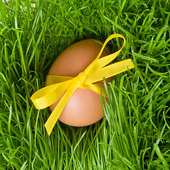 Image showing easter egg and grass