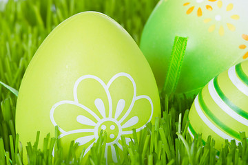 Image showing easter eggs in grass